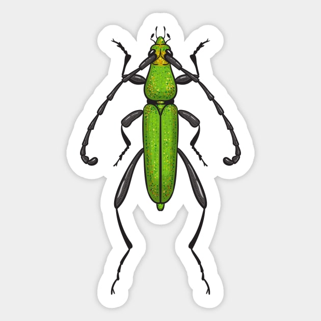 Green beetle Sticker by katerinamk